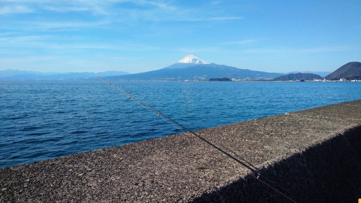 サビキ釣り