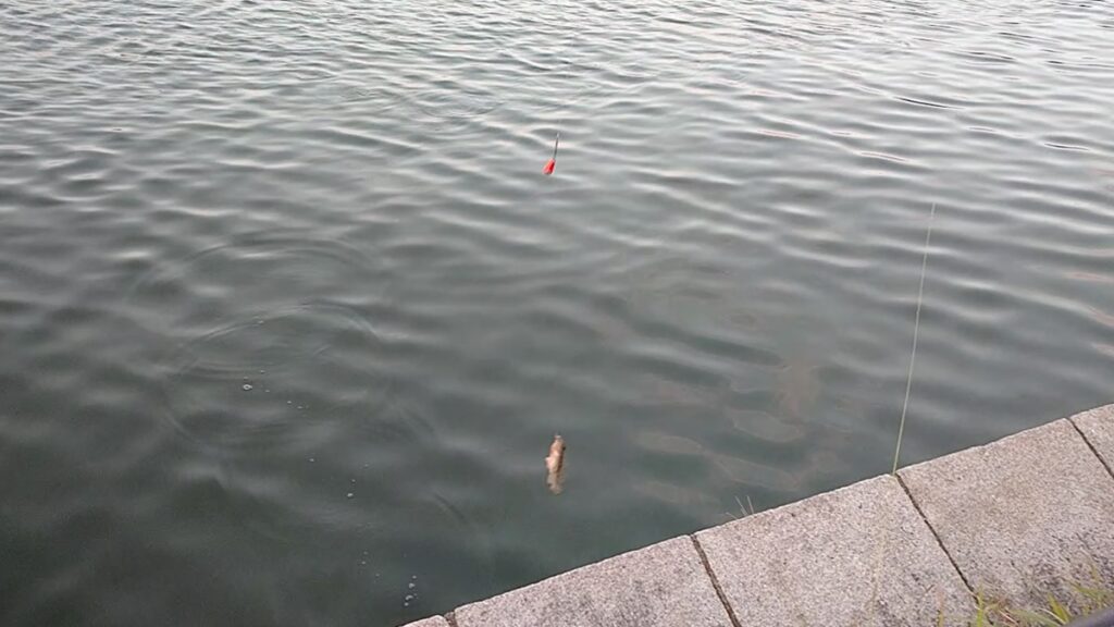 ちょい投げ釣り
