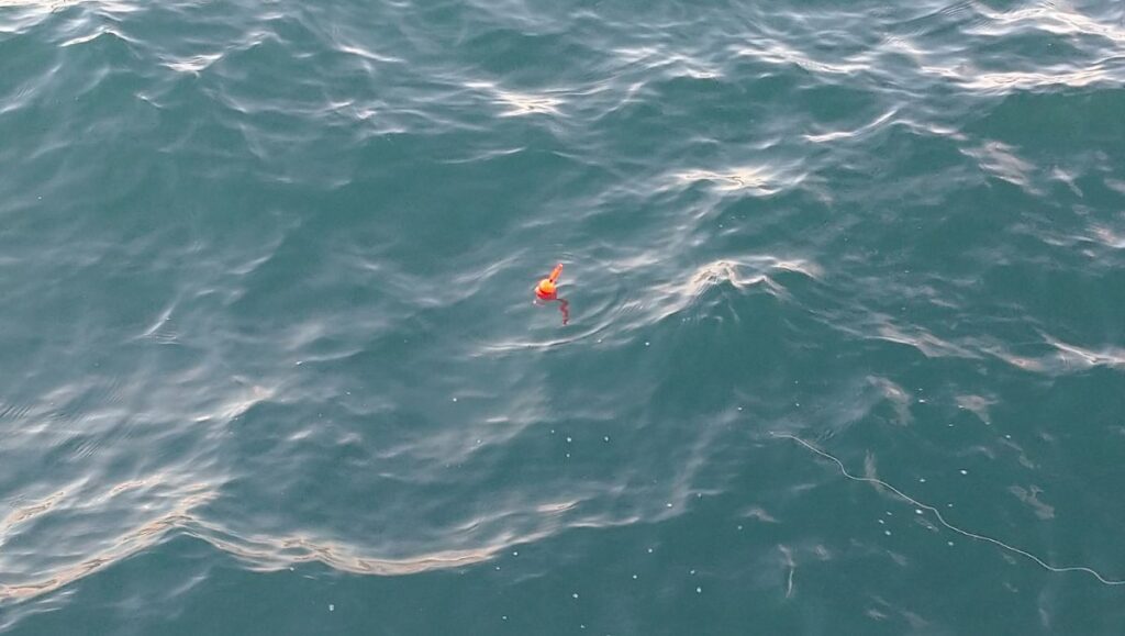 ウキサビキ釣り