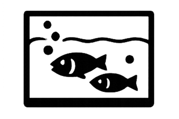 カテゴリー：遊び・水族館