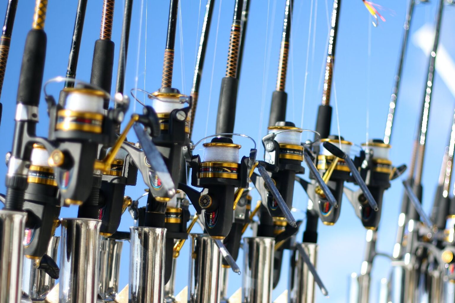 初めての釣り竿選び サビキ用の竿購入を検討 3m未満の製品比較と購入した竿ご紹介 - 楽・楽 釣りガイド
