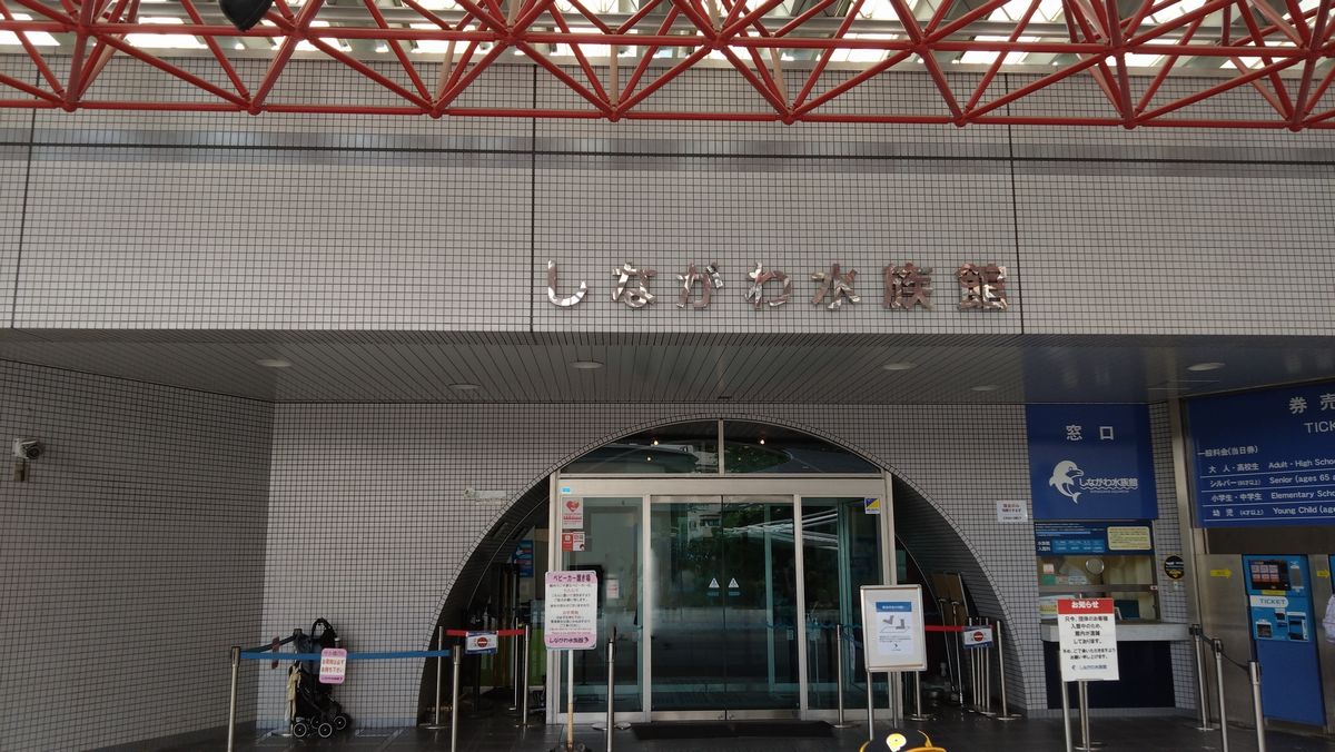 リニューアル前に行ってきた！しながわ水族館レポート：見学所要時間は1時間～1時間半