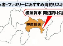 神奈川県_横須賀市海辺釣り公園