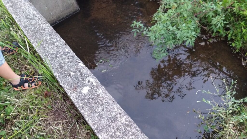 小物釣り:用水路