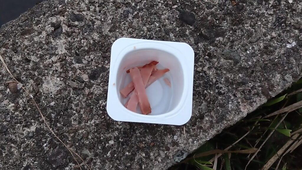 小物釣り用エサ:ハム