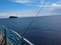 釣り：二刀流スタイル