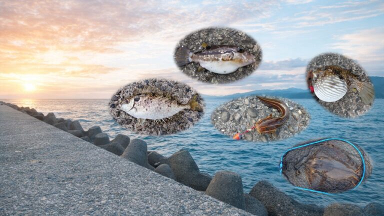 初心者が絶対に知っておきたい釣りの危険生物ガイド