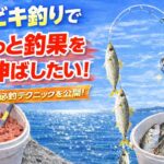 サビキ釣りの釣果UPのコツ
