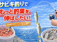 サビキ釣りの釣果UPのコツ