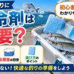 サビキ釣りの保冷剤ガイド