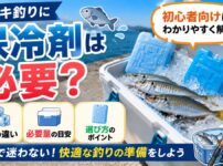 サビキ釣りの保冷剤ガイド