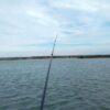 日中の釣り