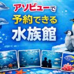 アソビューで予約購入できる水族館