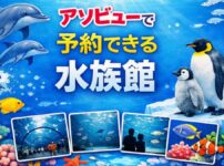 アソビューで予約購入できる水族館