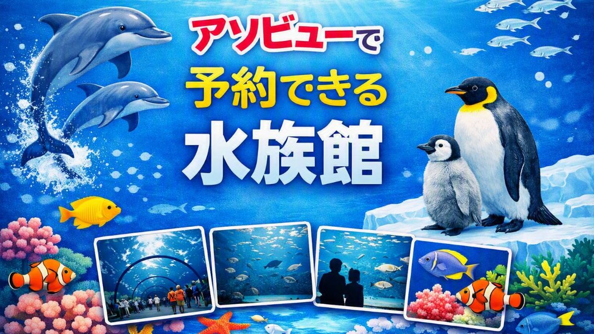 アソビューで予約購入できる水族館